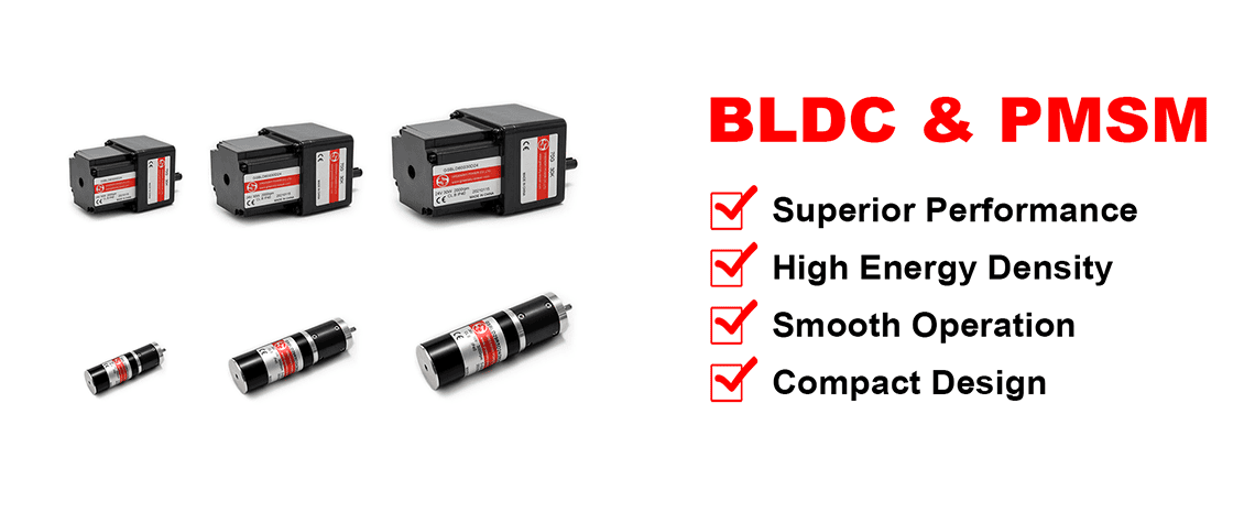 BLDC Motor and PMSM Motor