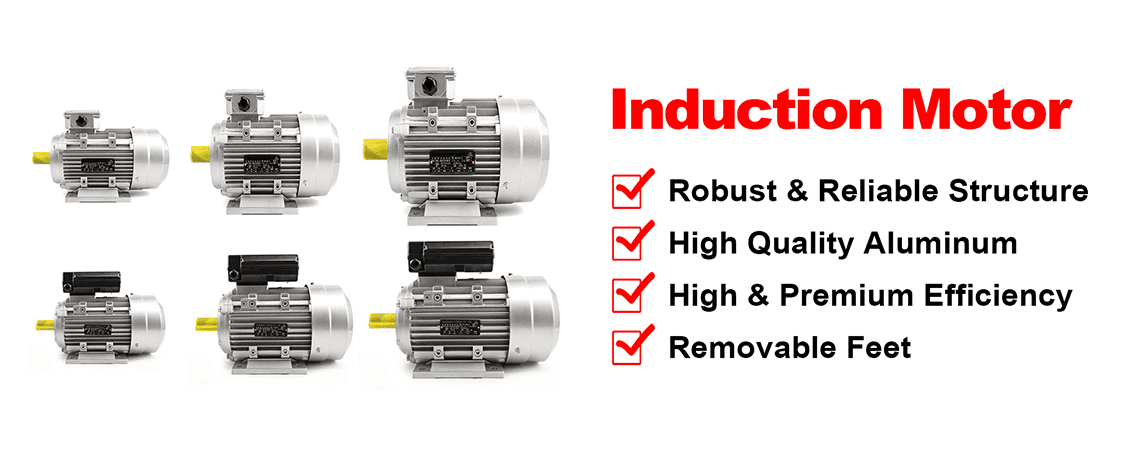 Industrial Induction Motor Manufacturer