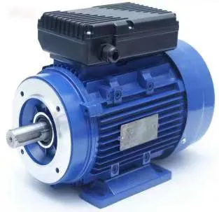 induction motor