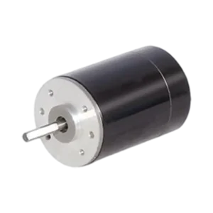 38ZY63 PMDC Motor