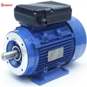 single-phrase motor